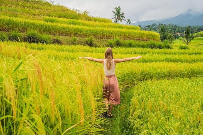 Bali Airport from or to Seminyak/Canggu/Sanur/NusaDua/Uluwatu - What this transfer does not include
