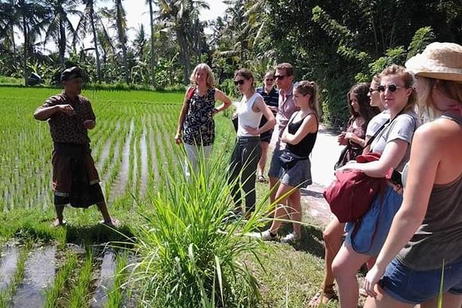 Bali Amazing Cooking Class - Eating the meal you helped prepare