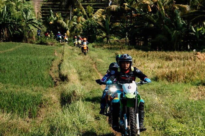 Bali ATV Quad Bike Ubud Swing & Monkey Forest All Inclusive - What is included, and what costs extra