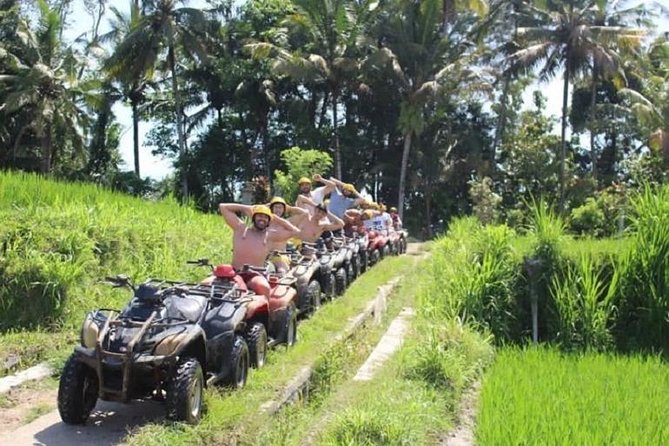 Bali ATV Quad Bike with Monkey Forest and Tegenungan Waterfall - Sangeh Sacred Monkey Forest and Its Temple Setting