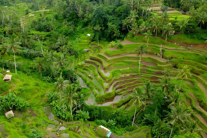 Bali ATV Ride And Ubud Tour Packages : Best Quad Bike Trip - Lunch, showers, and the useful reset