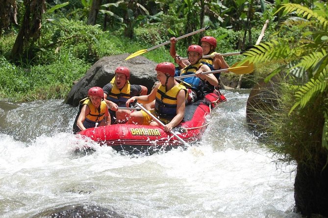 Bali: Ayung River White Water Rafting Adventure - Starting Among Rice Fields at the Wantilan Lobby