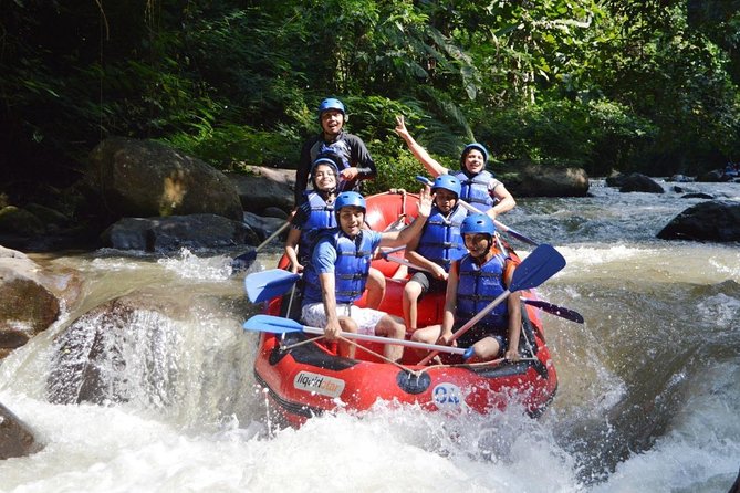 Bali: Ayung River White Water Rafting Adventure - Who Will Enjoy This Ayung River Trip?