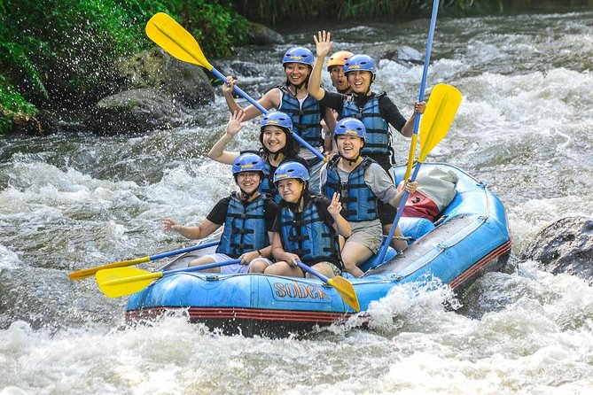 Bali: Ayung River White Water Rafting Adventure - What the Ayung River Ride Is Really Like