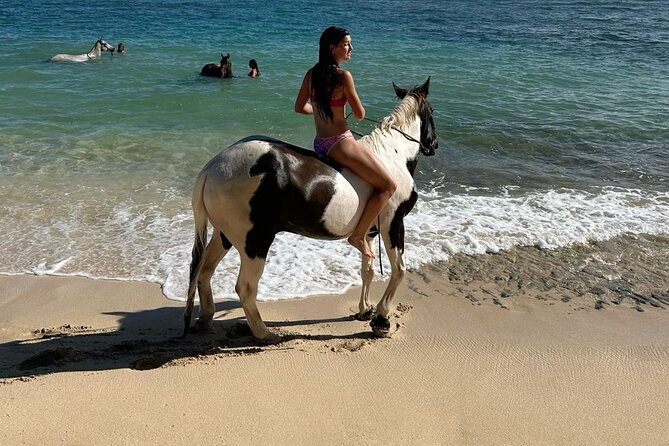 Bali Beach Horse Riding combo with waterfall All Inclusive - Why Saba Beach is the heart of the experience