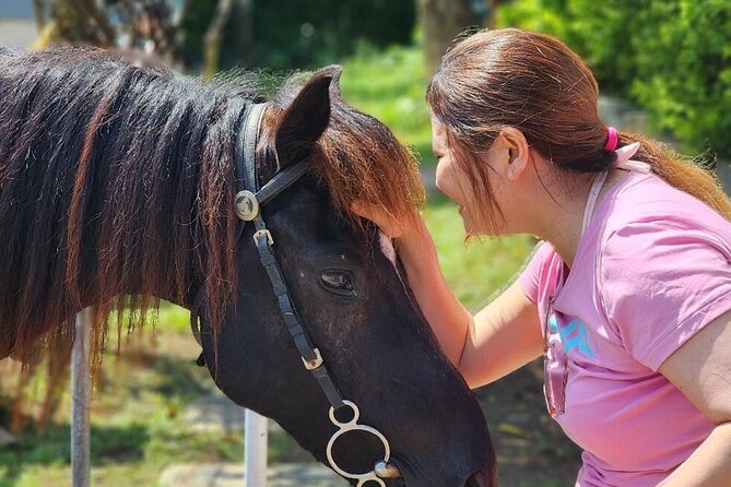 Bali Beach Horse Riding combo with waterfall All Inclusive - Who will enjoy this outing most?