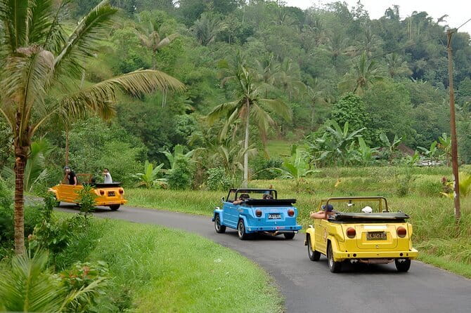Bali: Bedugul Temple, Banyumala Waterfall, UNESCO Rice Terrace - Who will enjoy this Bali day tour