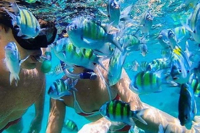Bali Best Snorkeling at Blue Lagoon - Key points at a glance