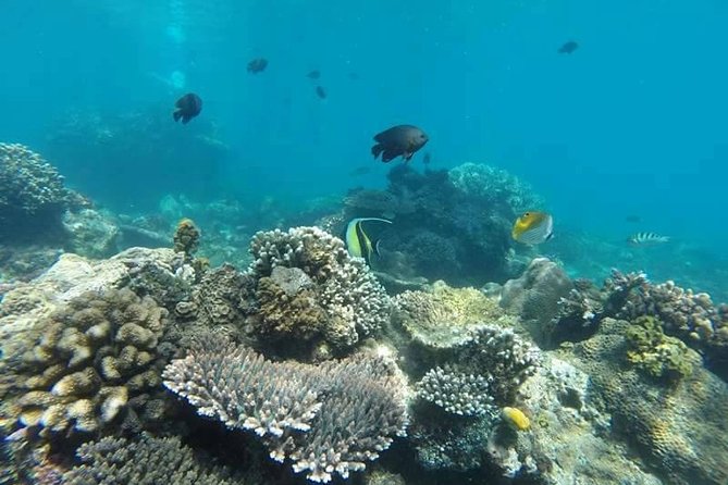 Bali Best Snorkeling at Blue Lagoon - What you can expect at the Blue Lagoon stop