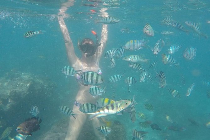Bali Best Snorkeling at Blue Lagoon - Help for beginners and families