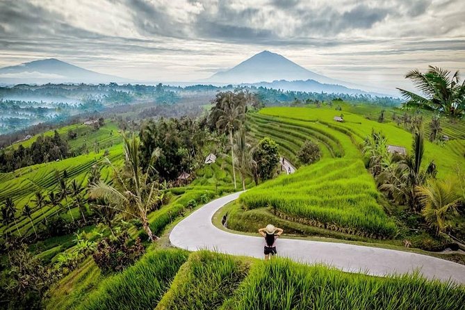 Bali BEST Things to Do Private Full-day Tour from Your Hotel - Temples, gates, and the best photo stops