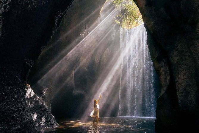 Bali BEST Things to Do Private Full-day Tour from Your Hotel - The private driver is the heart of the experience