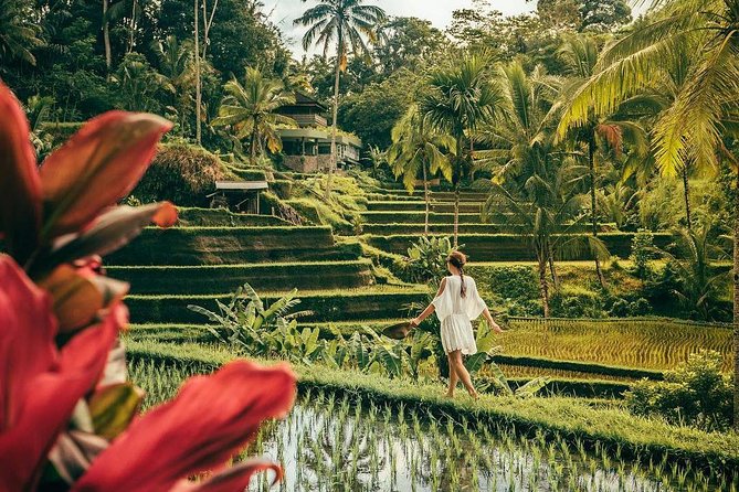 Bali BEST Things to Do Private Full-day Tour from Your Hotel - Ubud in one day: art, rice fields, and monkeys