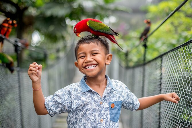 Bali Bird Park Admission Ticket - Starting with the gardens and free-roaming birds