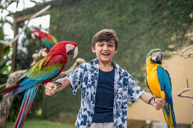 Bali Bird Park Admission Ticket - The Basic Instinct Bird of Prey Show at 11:30am and 3pm