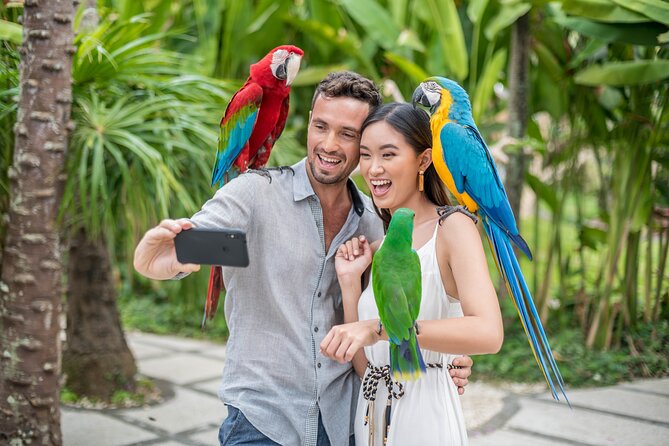 Bali Bird Park Admission Ticket - The 4D movie and close encounters