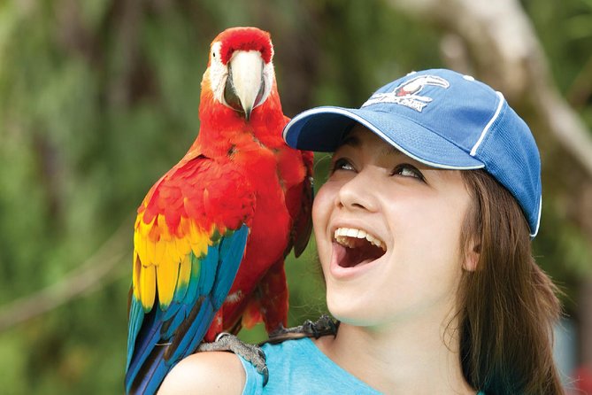 Bali Bird Park Admission Ticket - Feeding lorikeets, pelicans, and other animals