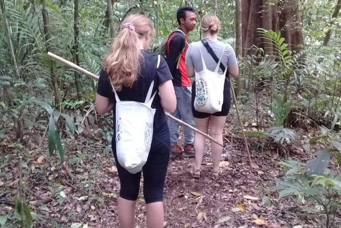 Bali Blue Lagoon Snorkeling and Waterfall Day Tour with Lunch - Kanto Lampo: a scenic stop after snorkeling
