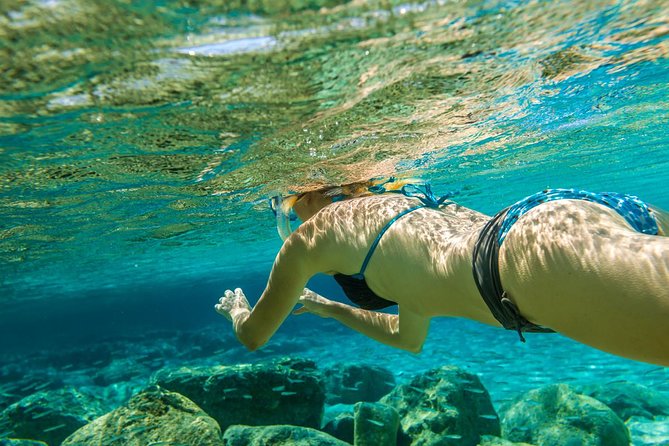 Bali Blue Lagoon Snorkeling Experience - Blue Lagoon below the surface