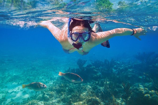 Bali Blue Lagoon Snorkeling Experience - The beach facilities are the weak point