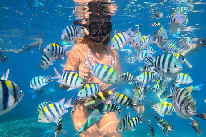 Bali Blue Lagoon Snorkeling - Lunch and Transport All Inclusive - Key points at a glance