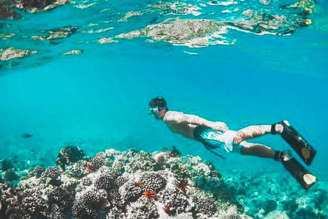 Bali Blue Lagoon Snorkeling - Lunch and Transport All Inclusive - Lempuyang Temple and the Gates of Heaven
