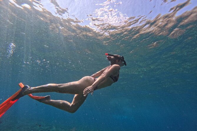 Bali Blue Lagoon Snorkeling - Lunch and Transport All Inclusive - Coffee, tea, and the plantation stop