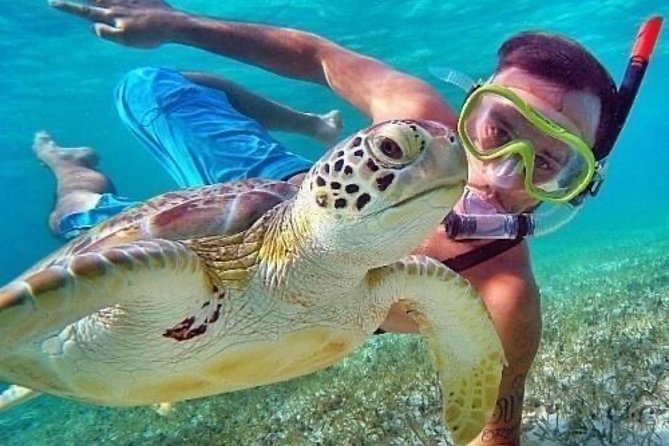 Bali Blue Lagoon Snorkeling - Lunch and Transport All Inclusive - How much value do you get for $39?
