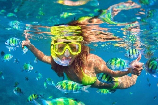 Bali Blue Lagoon Snorkeling - Lunch and Transport All Inclusive - Blue Lagoon and Tanjung Jepun snorkeling