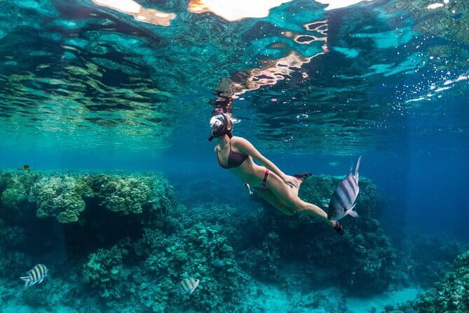Bali Blue Lagoon Snorkeling Tour All Inclusive - From Seminyak to Padang Bai
