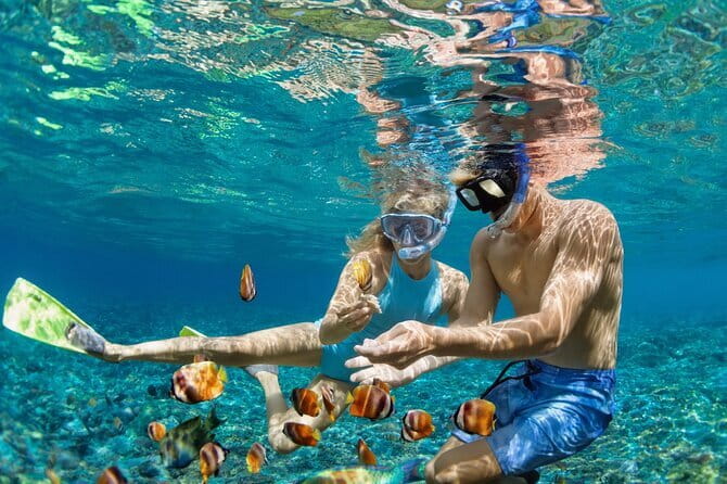 Bali Blue Lagoon Snorkeling Tour All Inclusive - What You May See Underwater