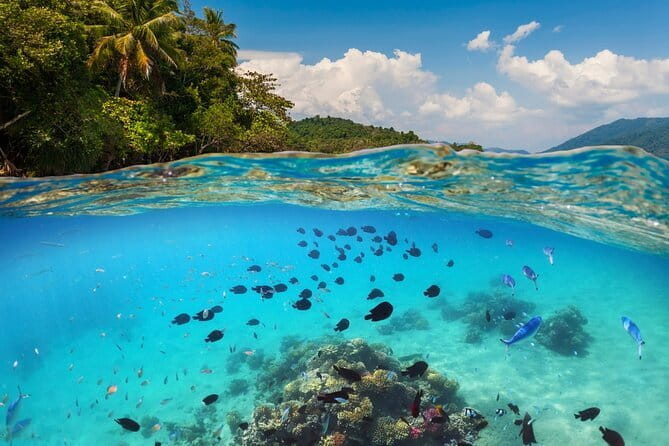 Bali Blue Lagoon Snorkeling Tour All Inclusive - Boarding the Boat at Padang Bai