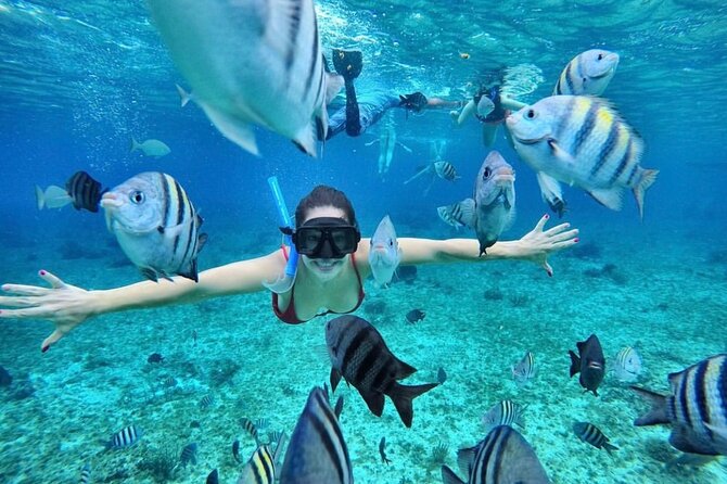 Bali Blue Lagoon Snorkeling with Optional Tour & Activities - Timing, group size, and the optional full-day plan