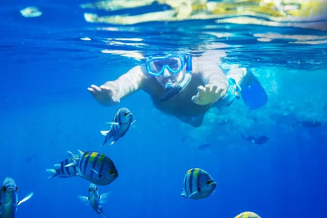 Bali Blue Lagoon Snorkeling with Private Transfer and Lunch - Key points to know before booking