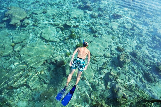 Bali Blue Lagoon Snorkeling with Private Transfer and Lunch - The strongest service points from the feedback