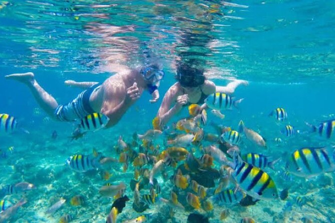 Bali Blue Lagoon Snorkeling with Private Transfer & Lunch - Two snorkeling sites and two different views underwater