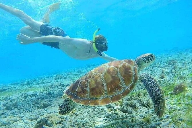 Bali Blue Lagoon Snorkeling with Private Transfer & Lunch - Lunch at Topi Inn Restaurant