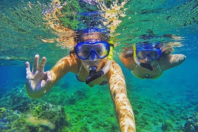 Bali Blue Lagoon Snorkeling with Private Transfer & Lunch - How much value do you get for $39.90?