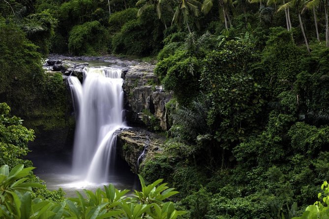 Bali Breathtaking Waterfall Tour (Private & All-Inclusive) - Kuning Waterfall: the quietest and most active stop