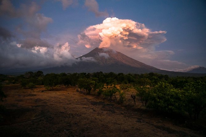 Bali Breathtaking Waterfall Tour (Private & All-Inclusive) - Is $114 per person good value?