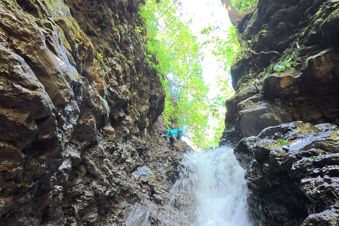 Bali Canyoning Trip – Explore Hidden Waterfalls & Gorges - Entering the bamboo forest near Gitgit Subak Temple