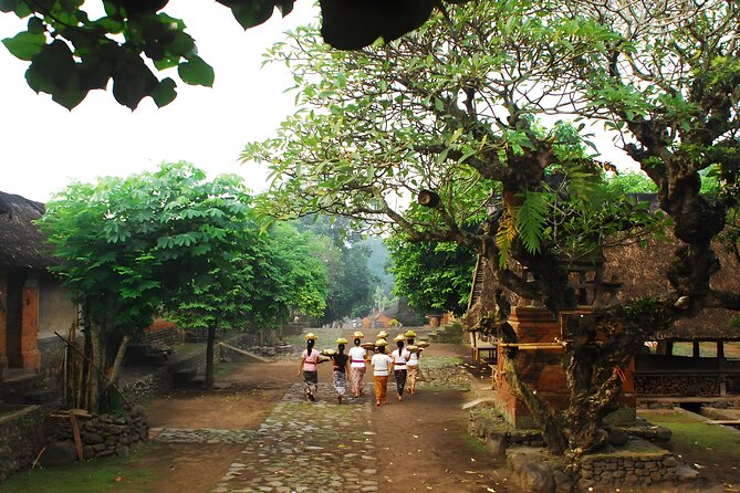 Bali Car-Charter: The Gates of Heaven Bali Tour - Tirta Gangga, a royal garden of water and stone