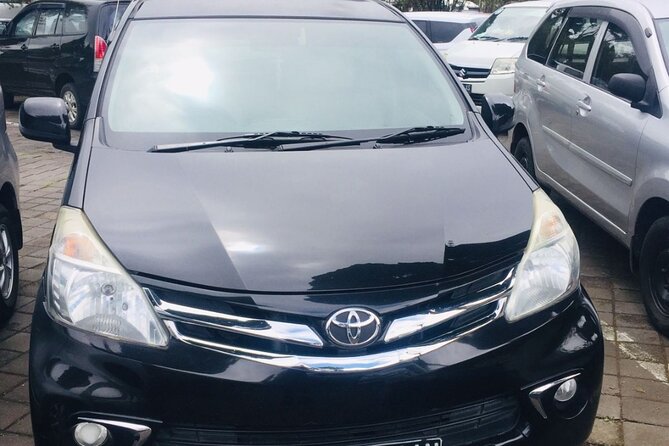 Bali Car Hire with Driver - What the drivers add to the day