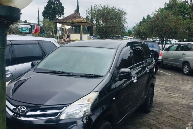 Bali Car Hire with Driver - The car, hours, and real value at $31.12