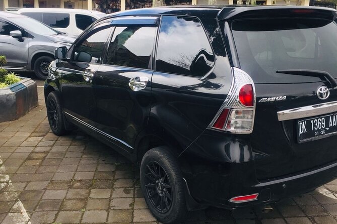 Bali Car Hire with Driver - Who should book this service?