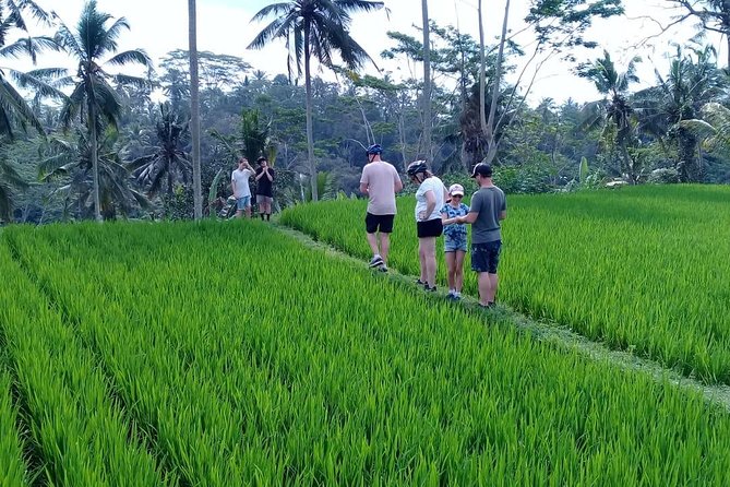 Bali Countryside Cycling Adventure - Quick take: what makes this ride worthwhile