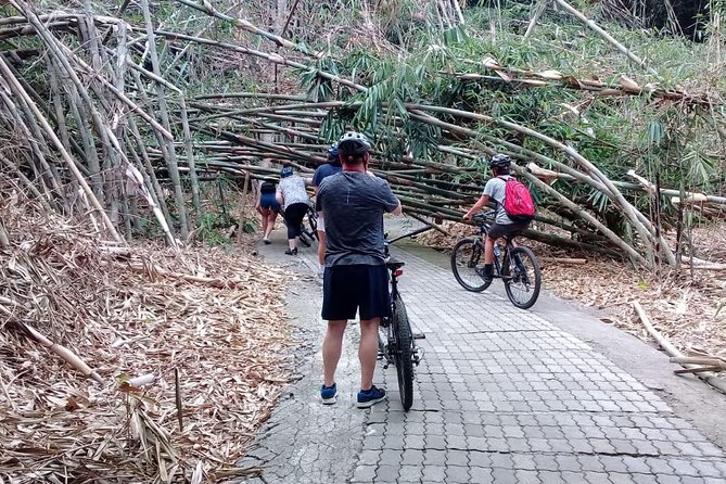 Bali Countryside Cycling Adventure - Riding through the Penglipuran Bamboo Forest