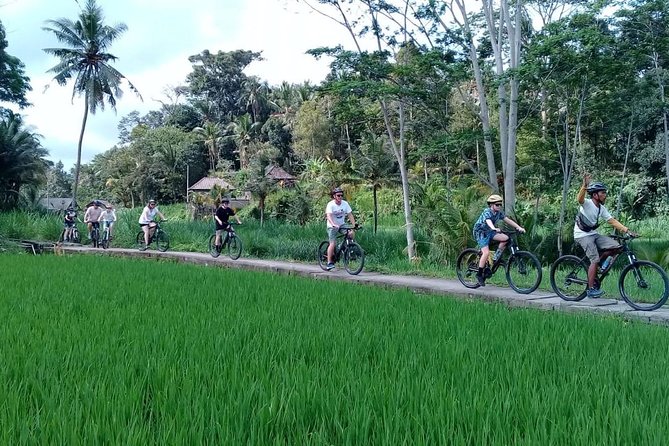 Bali Countryside Cycling Adventure - Lunch and the end of the cycling