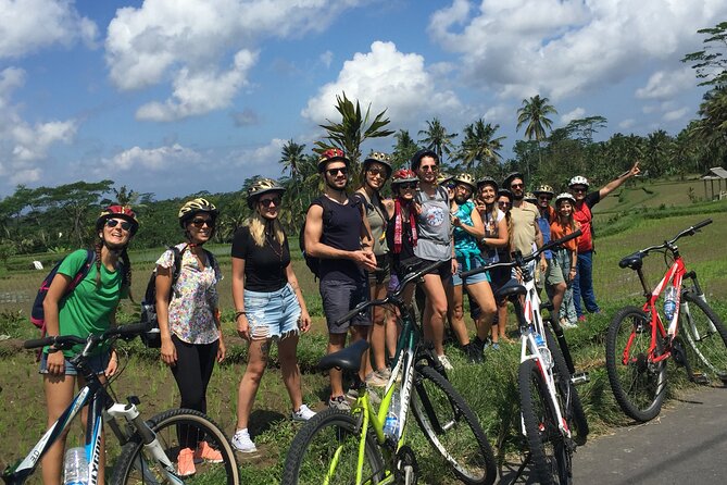 Bali Countryside Cycling Tour by Halo Bike Tour - The 4 p.m. return to your hotel or villa