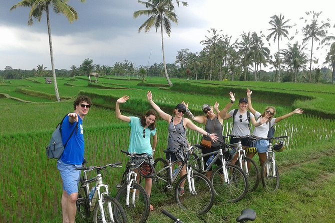 Bali Countryside Cycling Tour by Halo Bike Tour - The coffee plantation stop around 8:45 a.m.